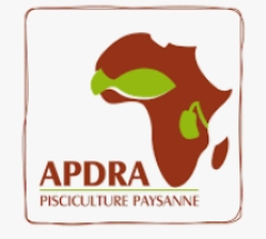 Apdra - pisciculture paysanne